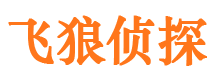 盘县侦探公司